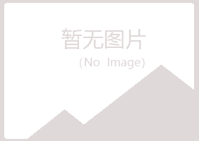 上海金山从安会计有限公司